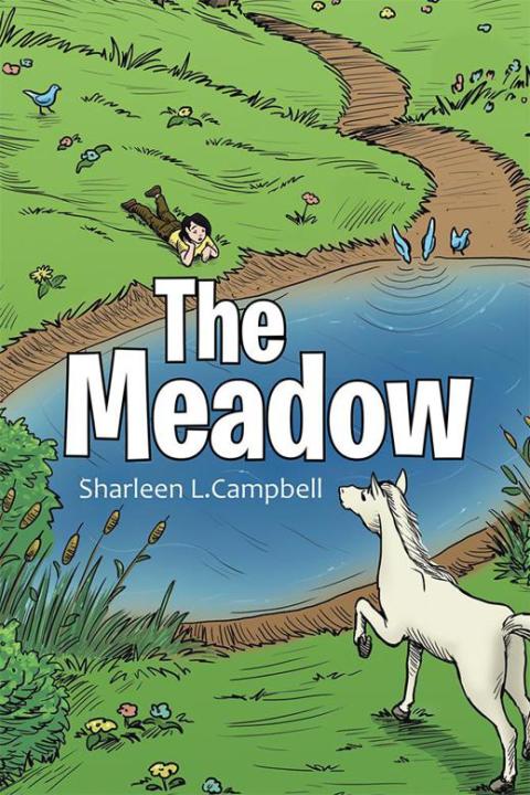 Cover image for book The Meadow