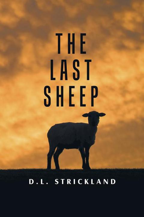 Cover image for book The Last Sheep