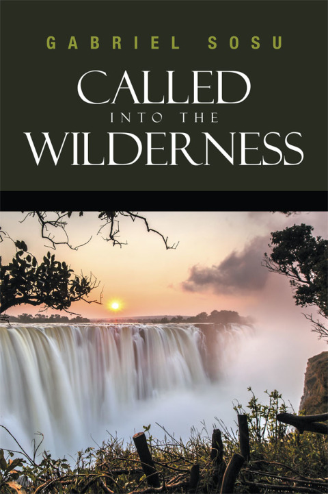 Cover image for book Called into the Wilderness