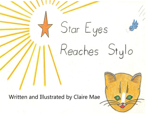 Cover image for book Star Eyes Reaches Stylo