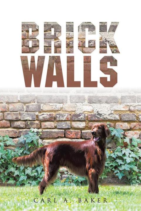 Cover image for book Brick Walls