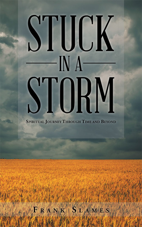 Cover image for book Stuck in a Storm