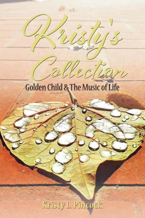 Cover image for book Kristy's Collection