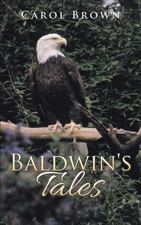 Cover image for book Baldwin's Tales