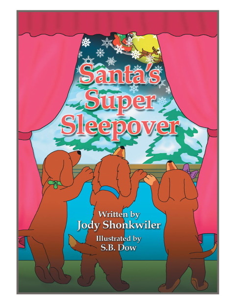 Cover image for book Santa’S Super Sleepover