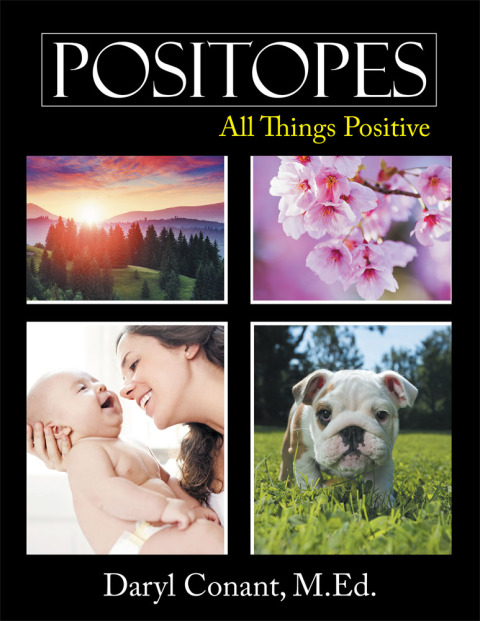 Cover image for book Positopes