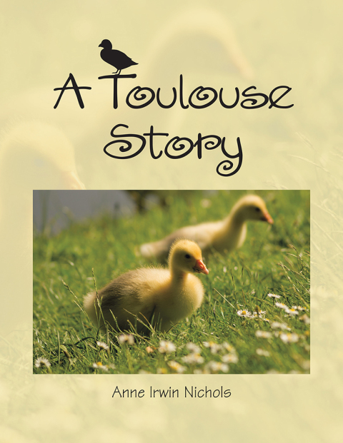 Cover image for book A Toulouse Story