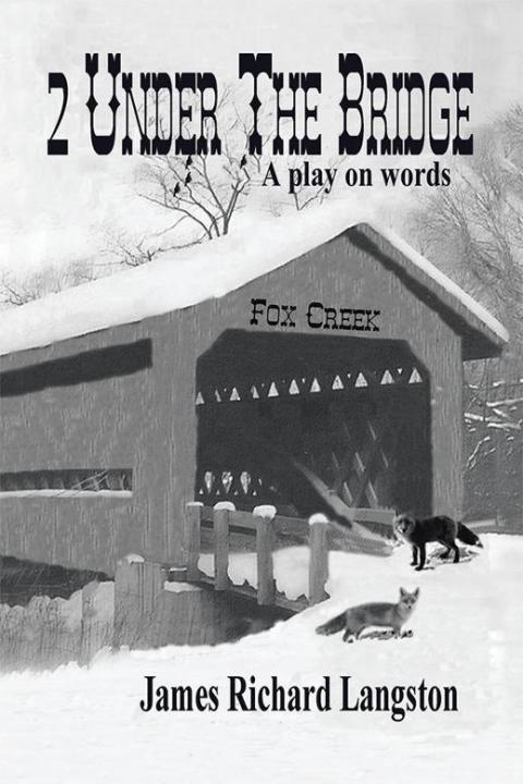 Cover image for book 2 Under the Bridge