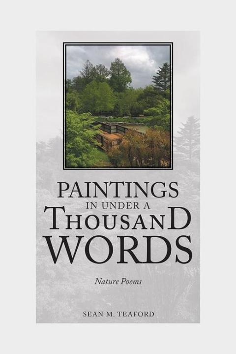 Cover image for book Paintings in Under a Thousand Words