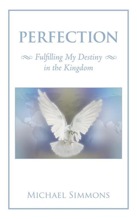 Cover image for book Perfection