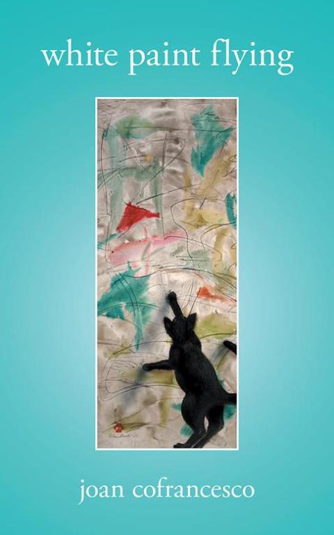 Cover image for book White Paint Flying