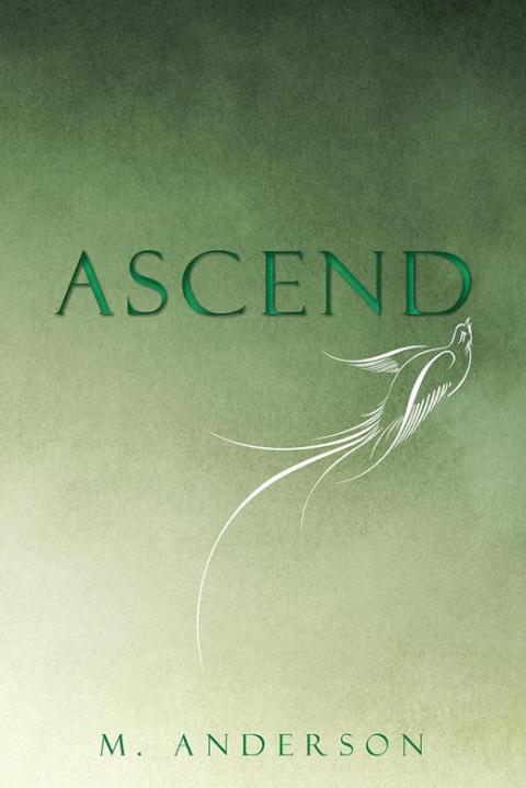 Cover image for book Ascend