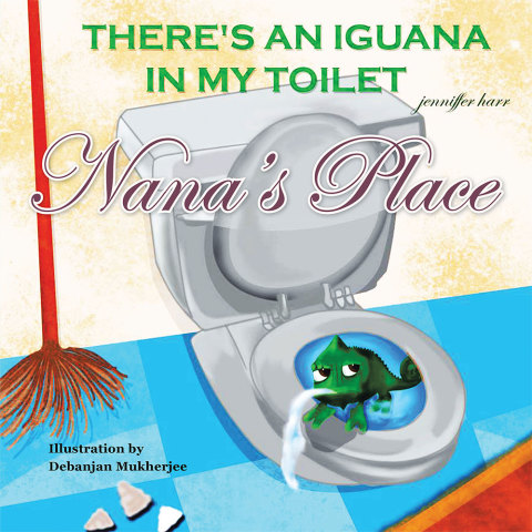 Cover image for book Nana's Place