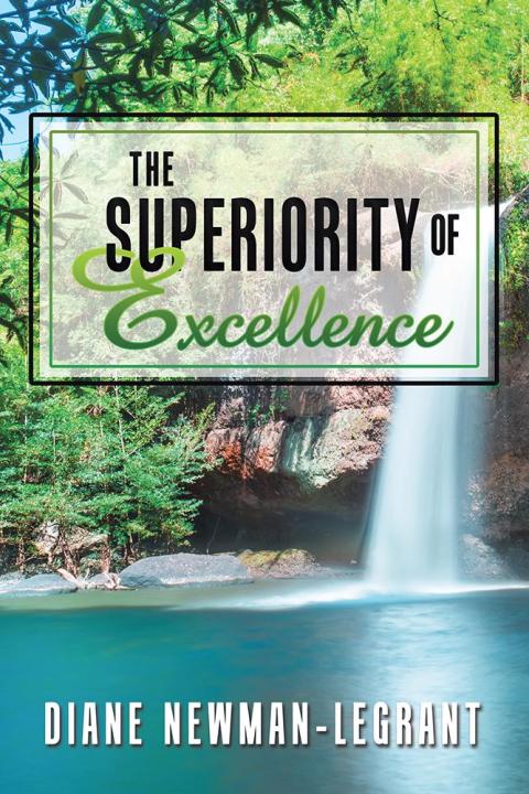 Cover image for book The Superiority of Excellence