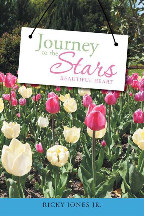 Cover image for book Journey to the Stars