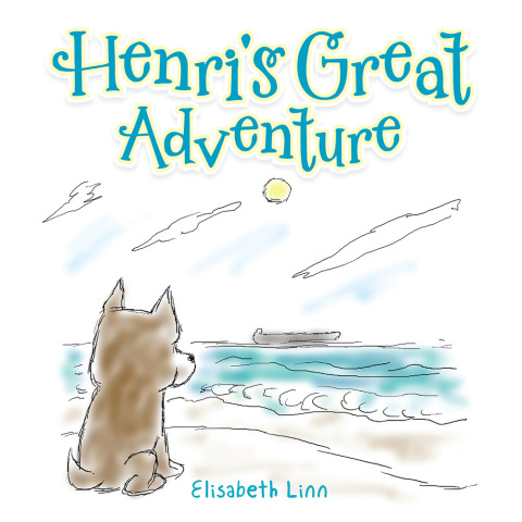 Cover image for book Henri's Great Adventure