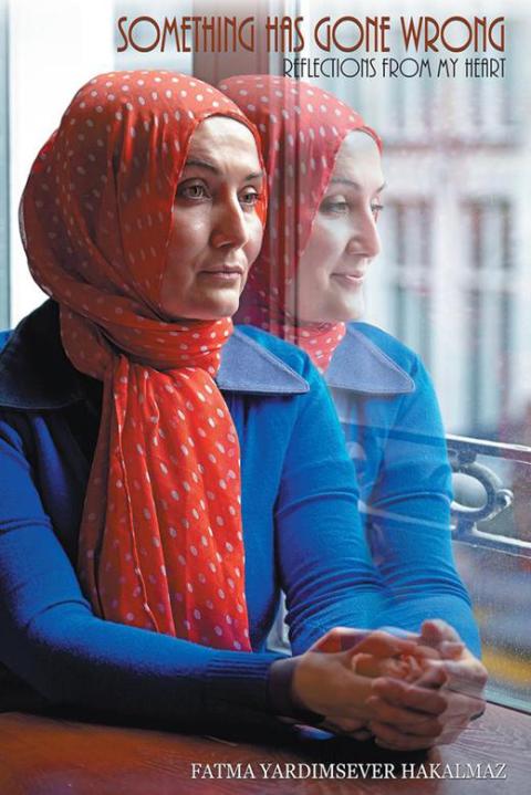 Cover image for book Something Has Gone Wrong