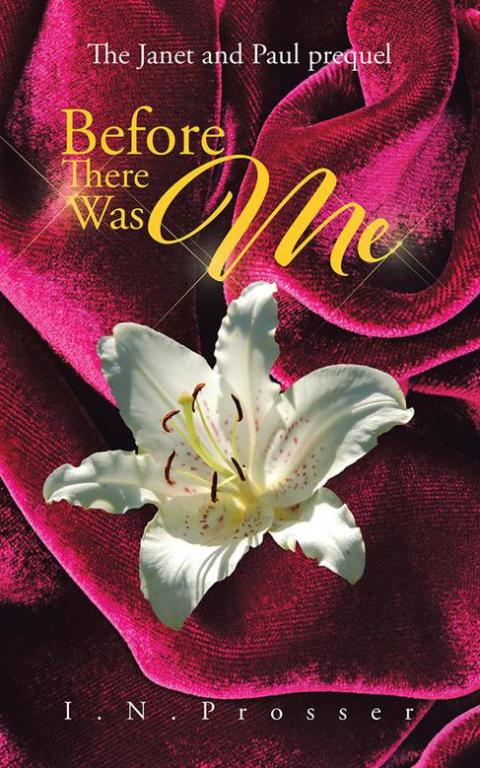 Cover image for book Before There Was Me