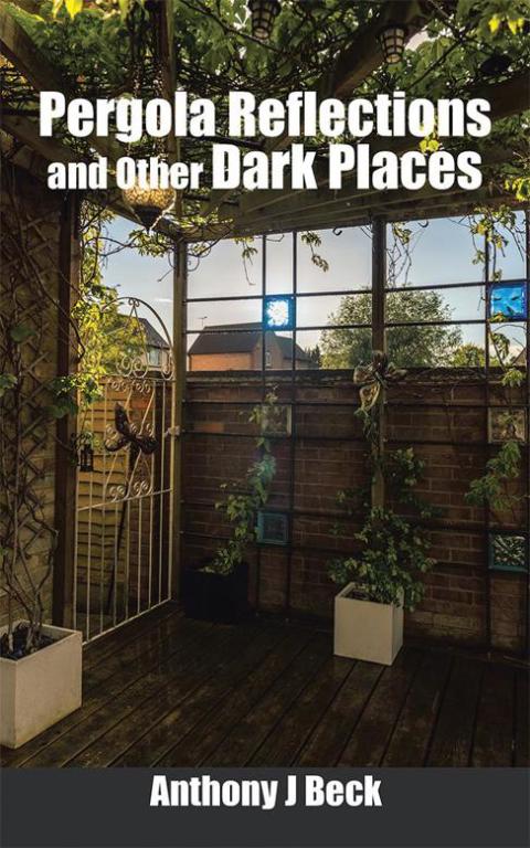 Cover image for book Pergola Reflections and Other Dark Places