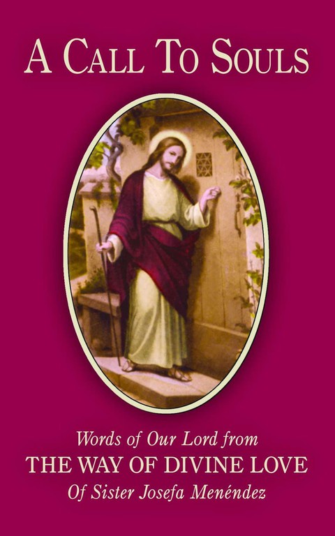 Cover image for book A Call to Souls