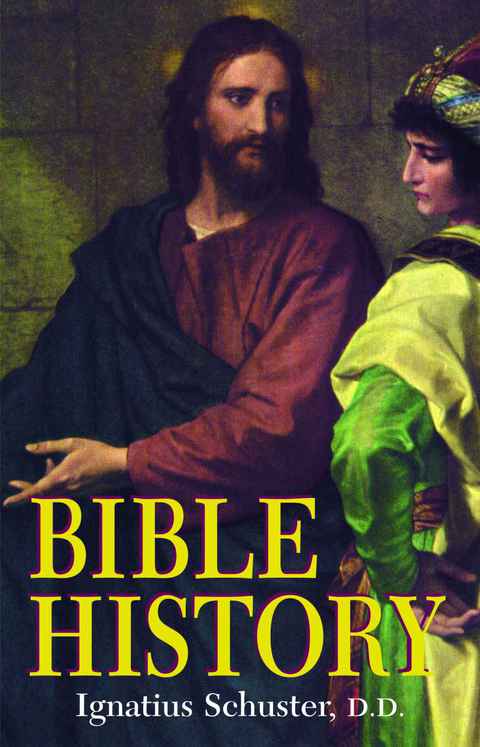 Cover image for book Bible History