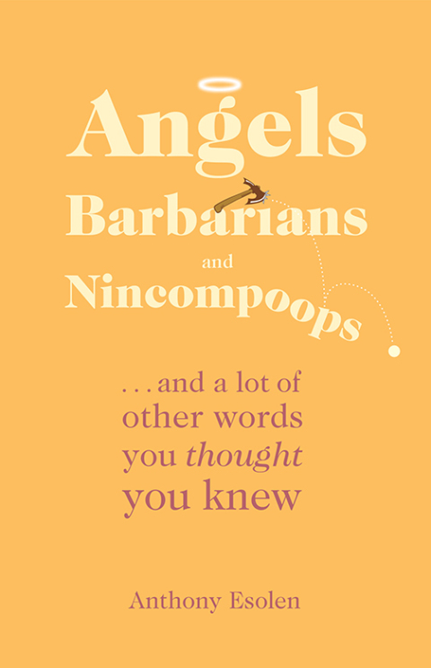 Cover image for book Angels, Barbarians, and Nincompoops
