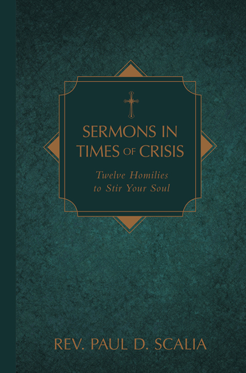 Cover image for book Sermons in Times of Crisis