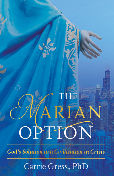 Cover image for book The Marian Option