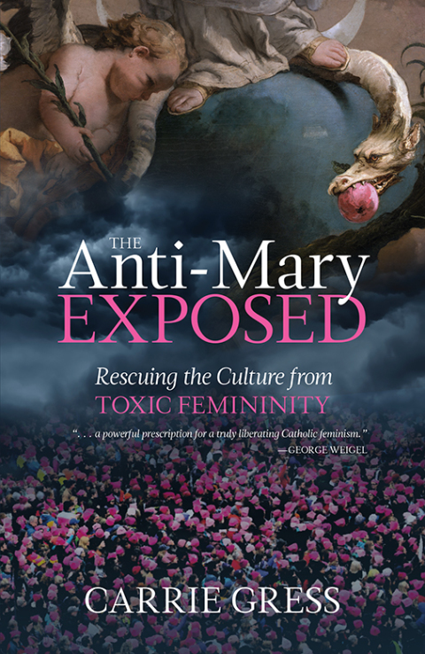 Cover image for book The Anti-Mary Exposed