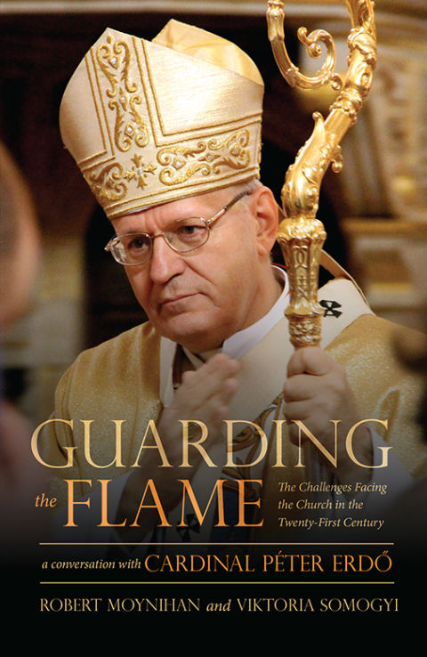 Cover image for book Guarding the Flame