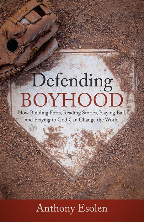 Cover image for book Defending Boyhood