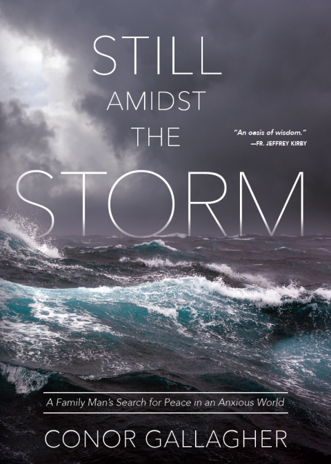 Cover image for book Still Amidst the Storm