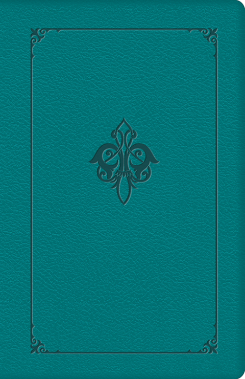 Cover image for book Manual for Women