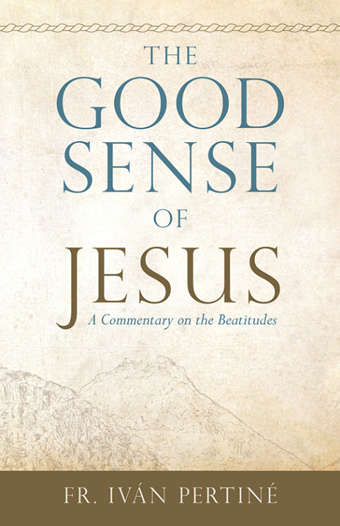 Cover image for book The Good Sense of Jesus