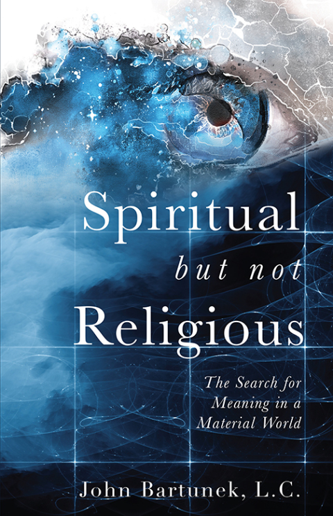 Cover image for book Spiritual but Not Religious