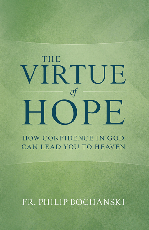 Cover image for book The Virtue of Hope