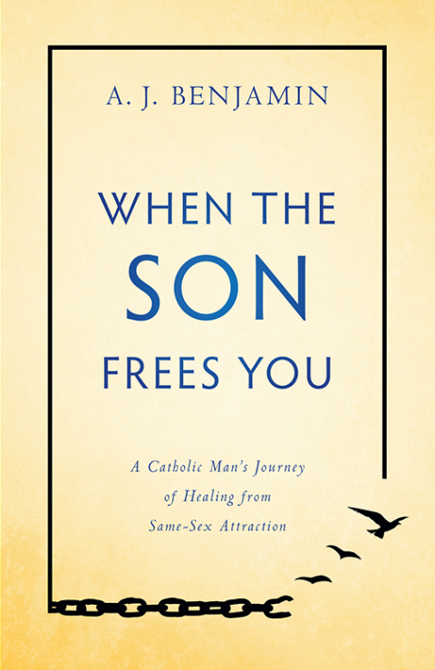 Cover image for book When the Son Frees You