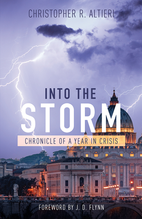 Cover image for book Into the Storm