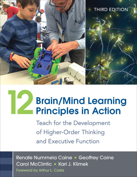 Cover image for book 12 Brain/Mind Learning Principles in Action