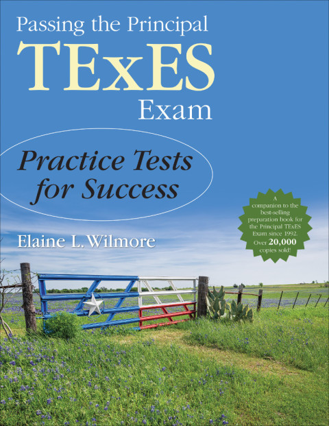 Cover image for book Passing the Principal TExES Exam