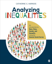 Cover image: Analyzing Inequalities 1st edition 9781506304113