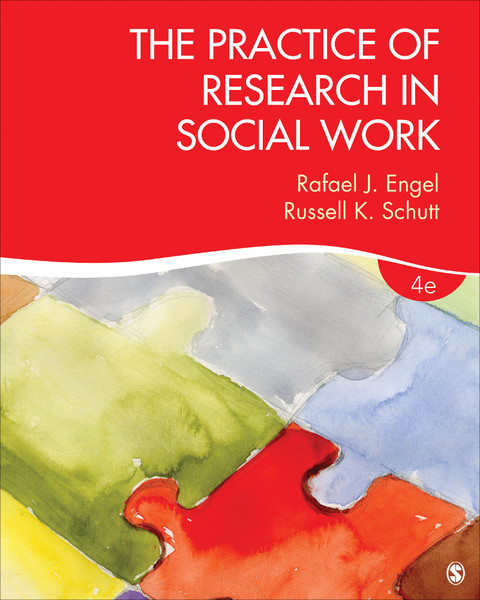 Cover image for book The Practice of Research in Social Work