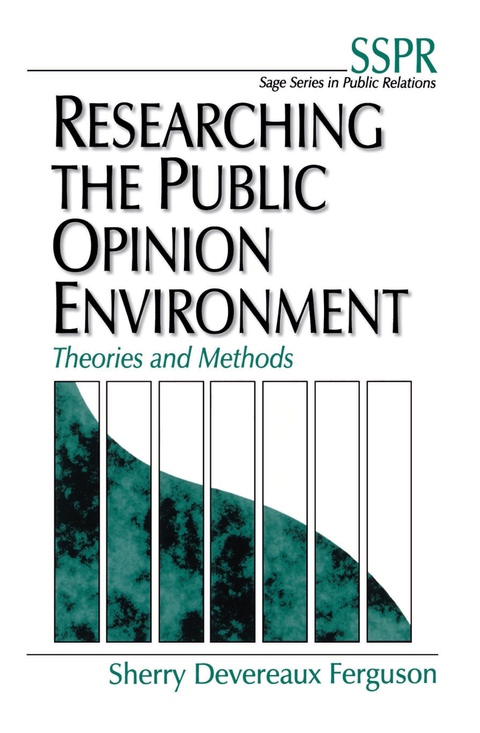 Cover image for book Researching the Public Opinion Environment