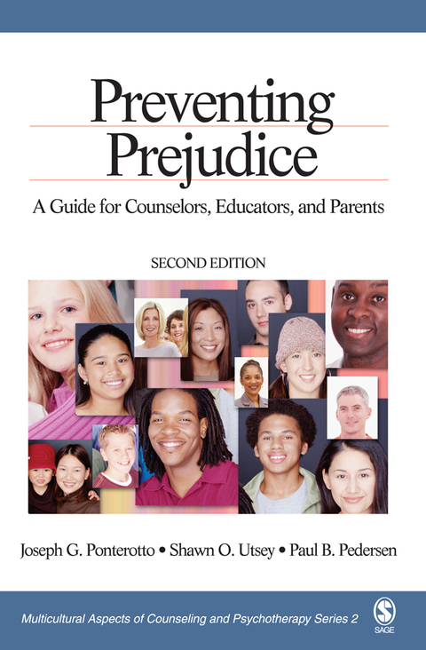 Cover image for book Preventing Prejudice