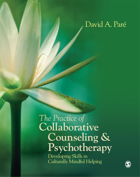 The Practice of Collaborative Counseling and Psychotherapy 
