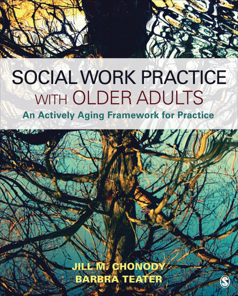 Cover image for book Social Work Practice With Older Adults