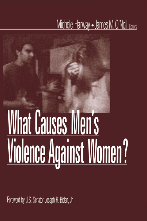 What Causes Men?s Violence Against Women? 