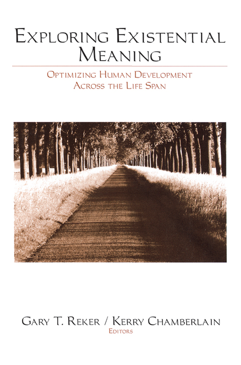 Cover image for book Exploring Existential Meaning