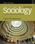 Sociology: Exploring the Architecture of Everyday Life (Brief Edition) - David M. Newman