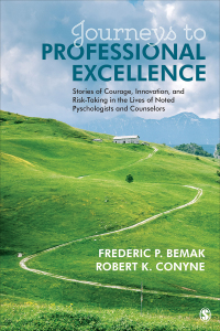 Cover image: Journeys to Professional Excellence 1st edition 9781506337142
